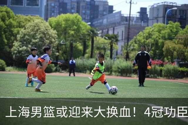 上海男篮或迎来大换血！4冠功臣体面告别？张镇麟将锁定D类合同